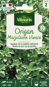 Origan - Marjolaine Vivace